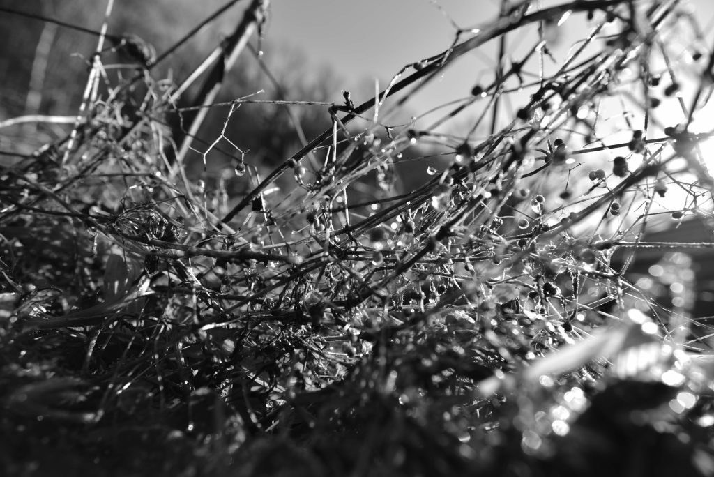 photographie NB produite par wastewi