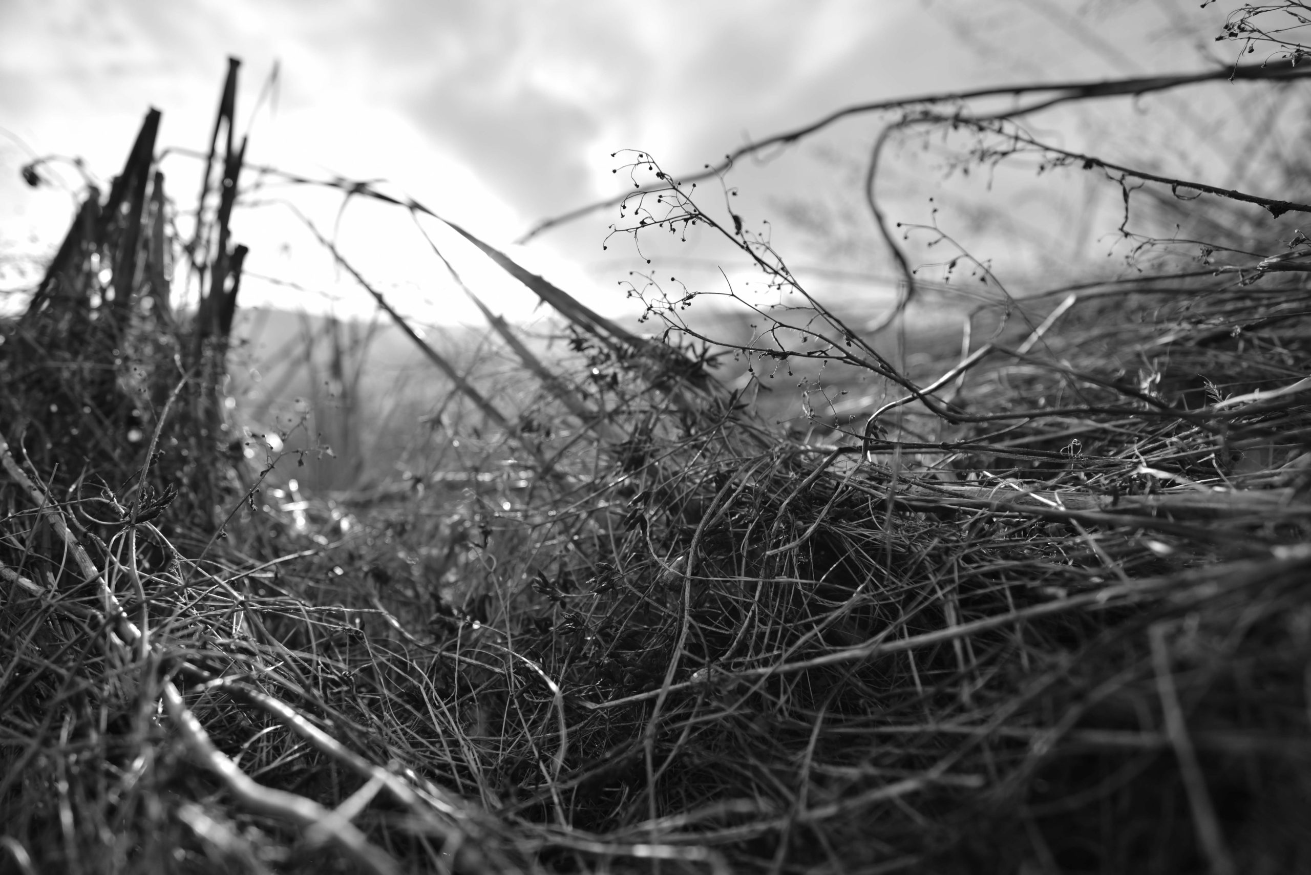 Photo test