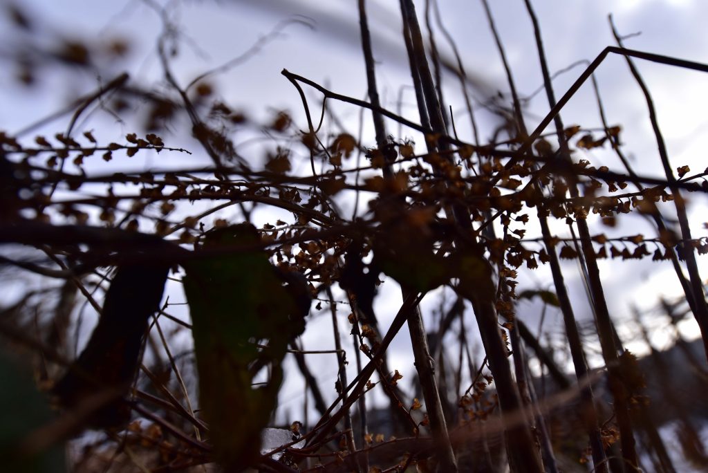photographie NB produite par wastewi